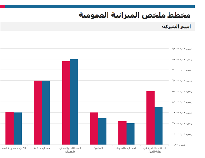 تقرير ملخص الميزانية تقرير ملخص الميزانية