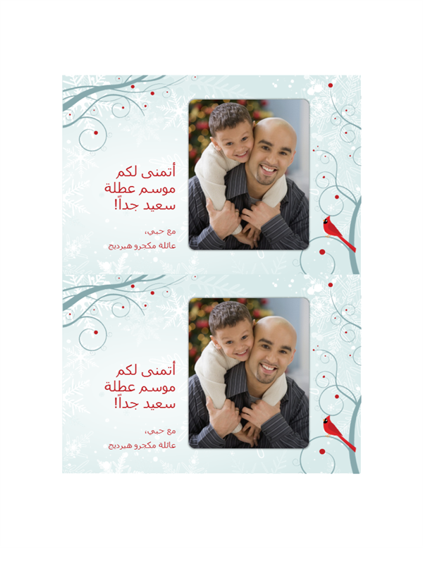 بطاقات صور عطلة ندفة الثلج (اثنتان لكل صفحة) بطاقات صور عطلة ندفة الثلج (اثنتان لكل صفحة)