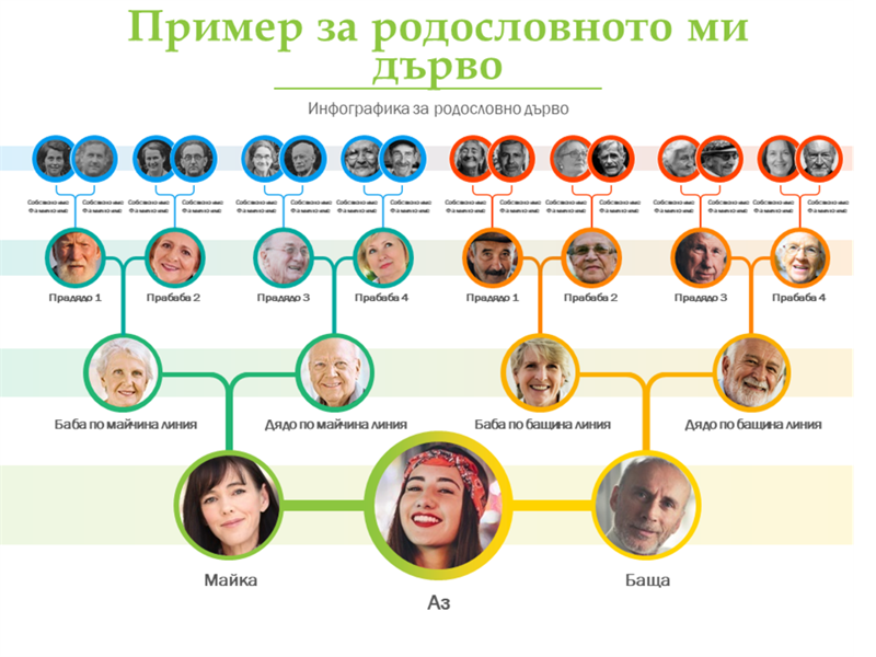 Родословното ми дърво