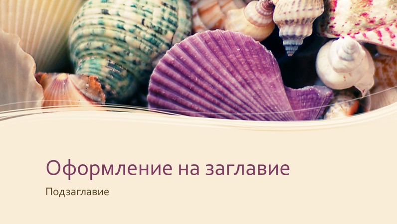 Цветна колекция от мидени черупки Цветна колекция от мидени черупки