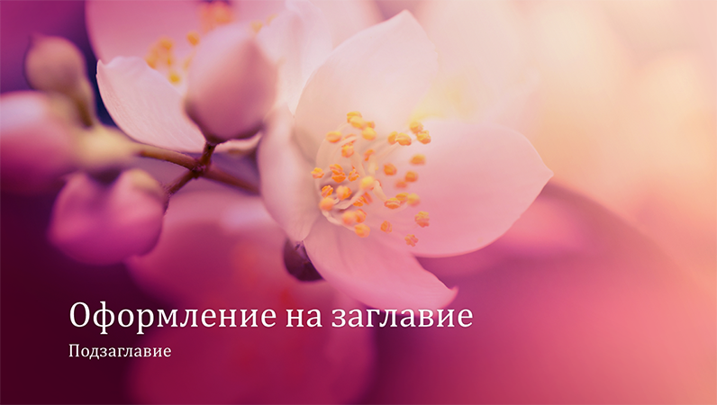Природна презентация с вишнев цвят (широк екран)