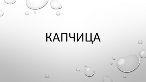 Капчица Капчица