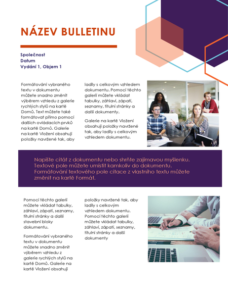 Bulletin (Exekutivní design, 2 stránky) Bulletin (Exekutivní design, 2 stránky)