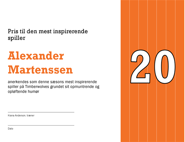 Sportspris Sportspris
