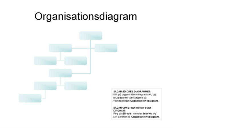 Komplekst Organisationsdiagram