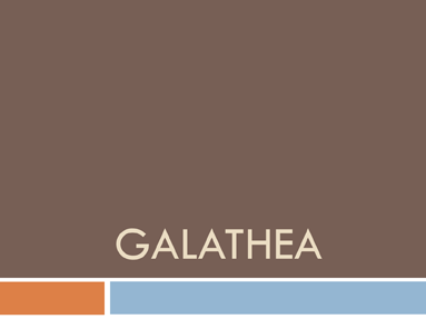 Galathea Galathea