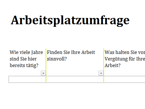 Arbeitsplatzumfrage Arbeitsplatzumfrage
