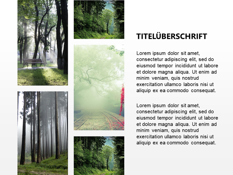 Bilder mit Spiegelungen und verschwommenem Hintergrund Bilder mit Spiegelungen und verschwommenem Hintergrund