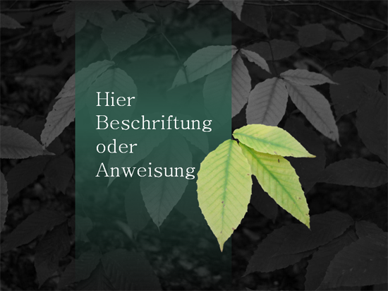 Freigestelltes Bild (ohne Hintergrund) Freigestelltes Bild (ohne Hintergrund)
