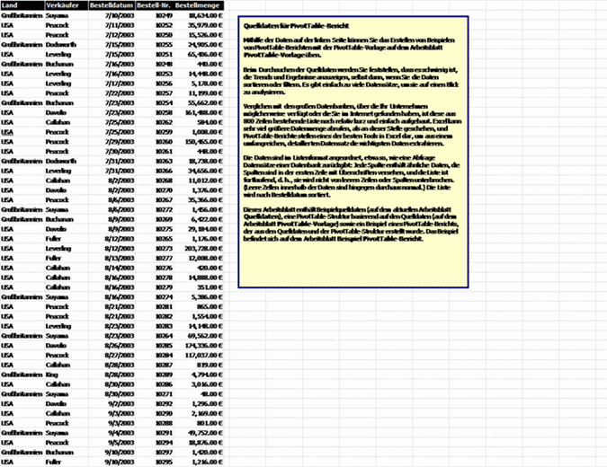 PivotTable-Bericht über Verkäufer PivotTable-Bericht über Verkäufer