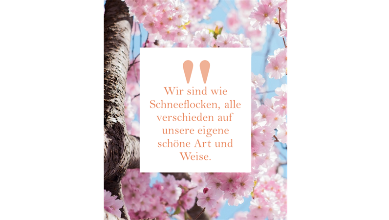 Instagram-Nachrichten und -Zitate (vertikal) Instagram-Nachrichten und -Zitate (vertikal)
