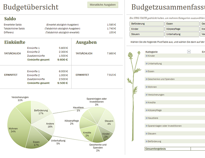 Familienbudget (monatlich) Familienbudget (monatlich)