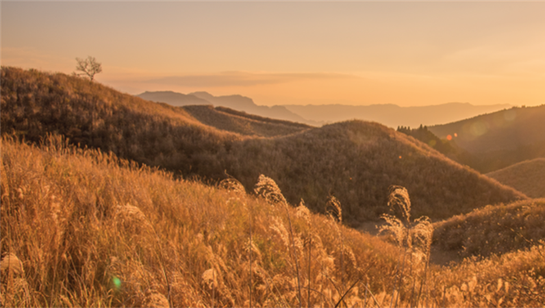 Facebook-Banner mit Landschaftsmotiven Facebook-Banner mit Landschaftsmotiven