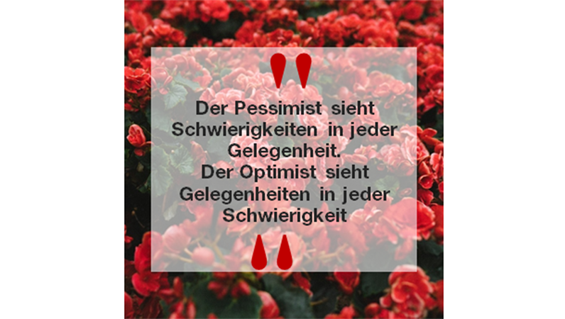 Instagram-Nachrichten und Zitate (quadratisch) Instagram-Nachrichten und Zitate (quadratisch)