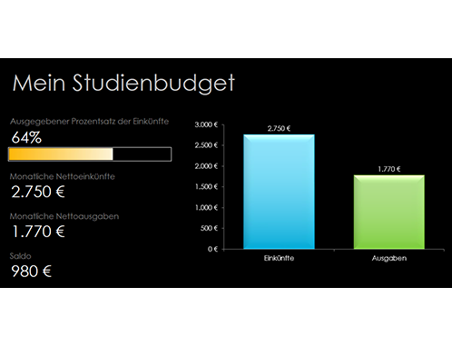 Mein Studienbudget Mein Studienbudget