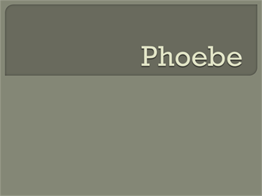 Phoebe Phoebe