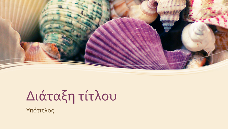 Συλλογή από πολύχρωμα κοχύλια Συλλογή από πολύχρωμα κοχύλια