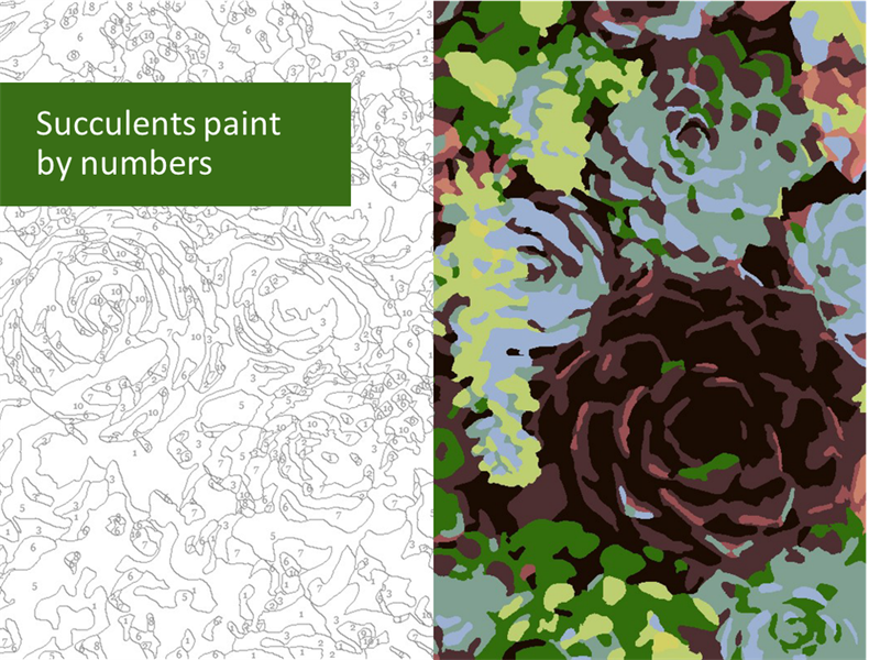 Succulents paint by numbers Succulents paint by numbers