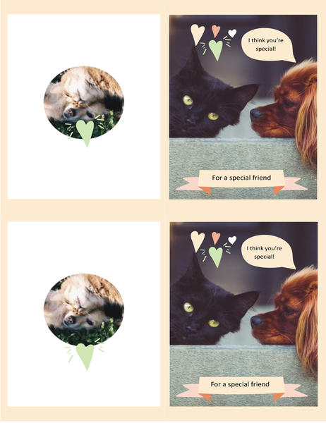 Kittens and puppies every day card Kittens and puppies every day card