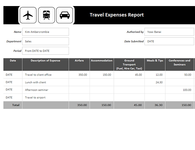 Travel Expenses Report