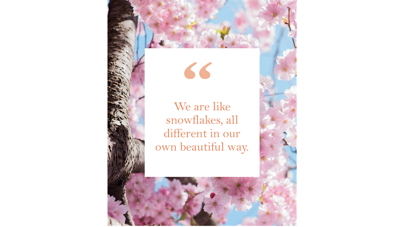 Instagram news and quotes vertical Instagram news and quotes vertical