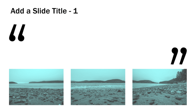 Read and select branching slides Read and select branching slides