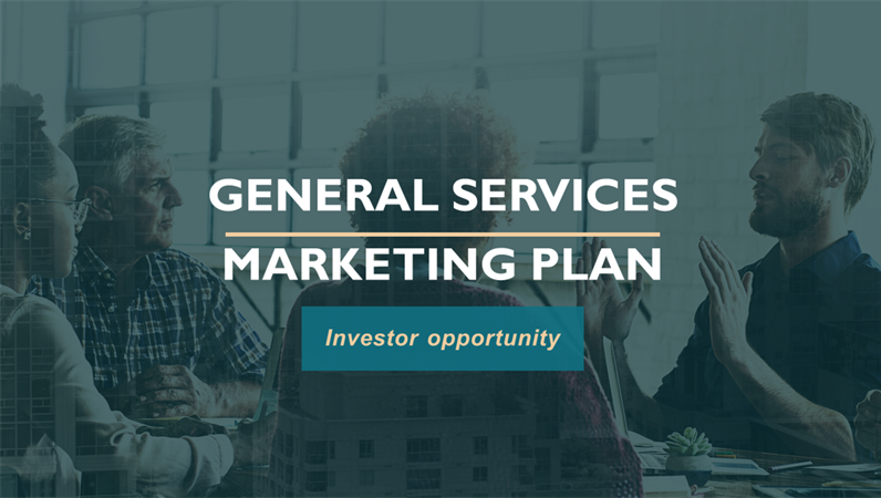 Professional services marketing plan Professional services marketing plan