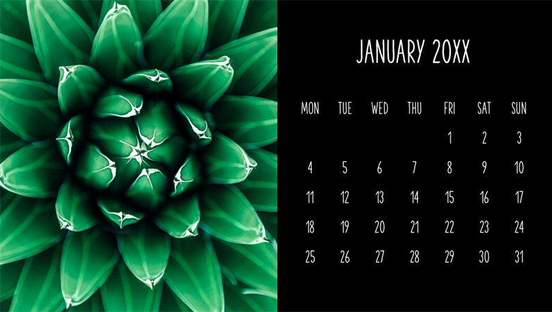 Succulents monthly calendar Succulents monthly calendar
