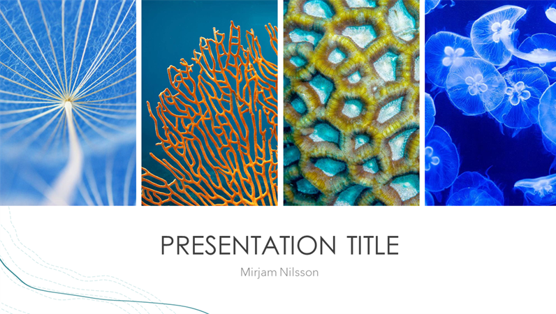 Ocean presentation Ocean presentation