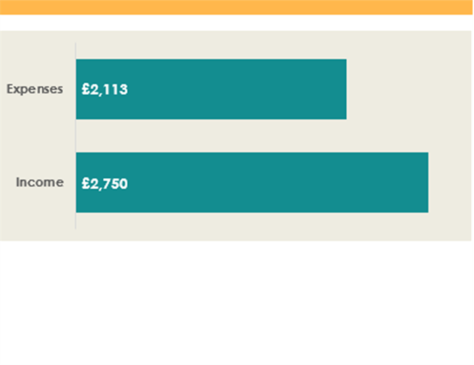University income and expenses budget University income and expenses budget