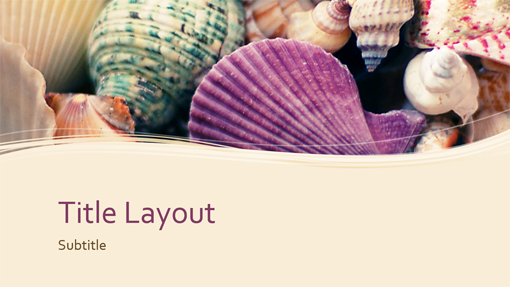 Seashells nature presentation (widescreen)
