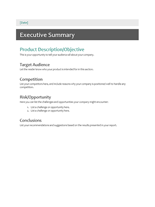 executive summary templates office word powerpoint excel template sg