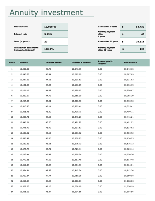 investment amortization excel sheet