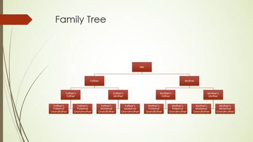 Family Tree Hierarchy Chart