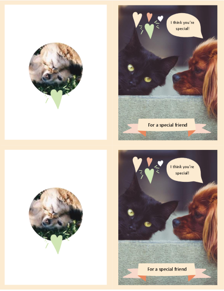 Kittens and puppies every day card Kittens and puppies every day card