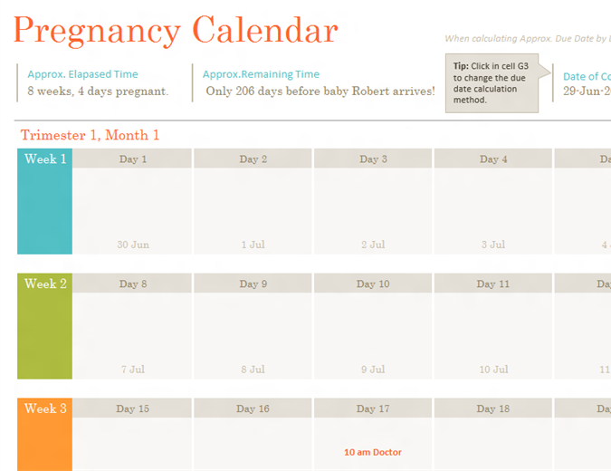 Baby Shower Planner Fice Templates