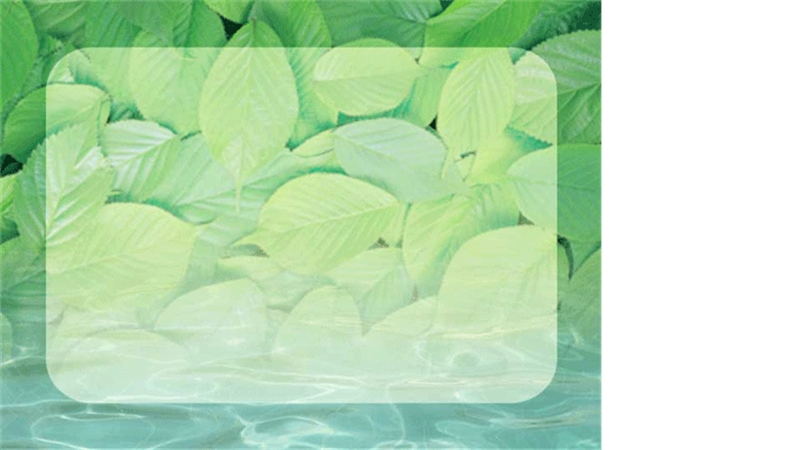 Pond design template