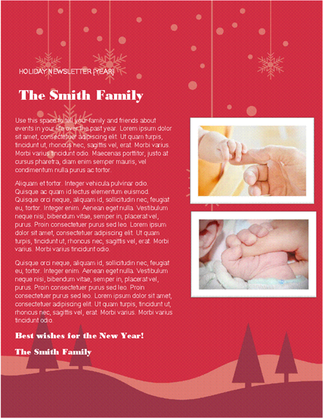 Holiday Newsletter Template