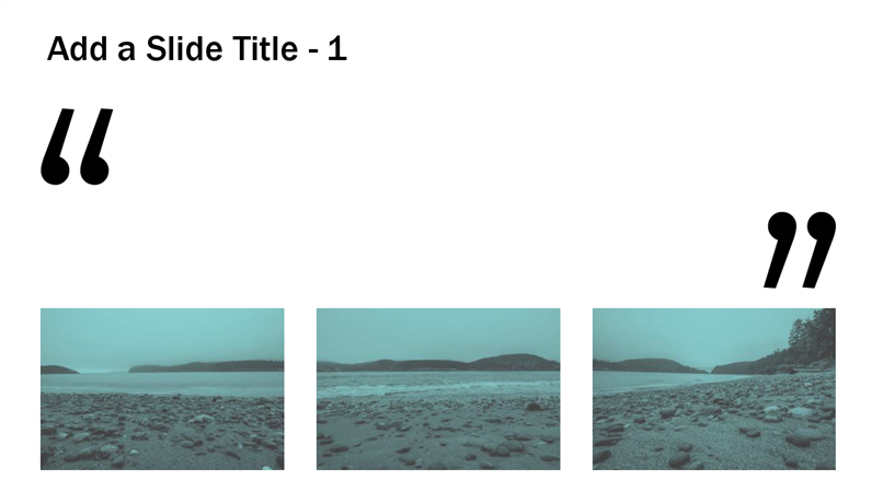 Read and select branching slides Read and select branching slides