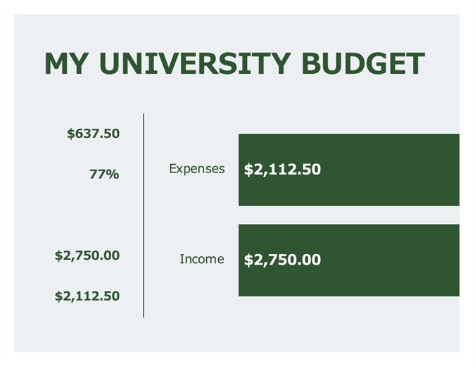 College income and expenses budget College income and expenses budget