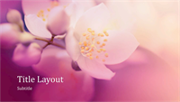 Cherry blossom nature presentation (widescreen)