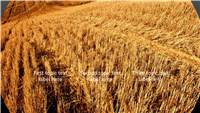 Animation slide: Circular pictures shrink onto slide (widescreen)