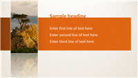 Animation slide: Title slides out from behind picture (widescreen)