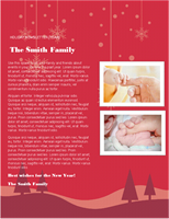 Family holiday newsletter