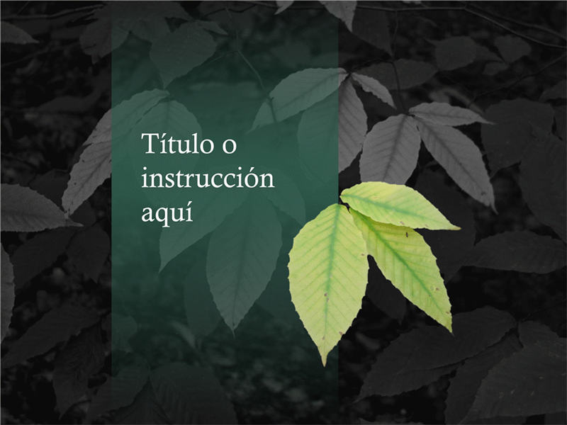 Imagen con fondo eliminado Imagen con fondo eliminado
