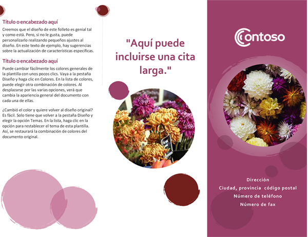 Folleto conjunto rosa Folleto conjunto rosa