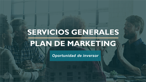 Plan de marketing de servicios profesionales Plan de marketing de servicios profesionales