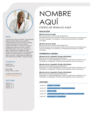 Currículum vítae azul y gris Currículum vítae azul y gris