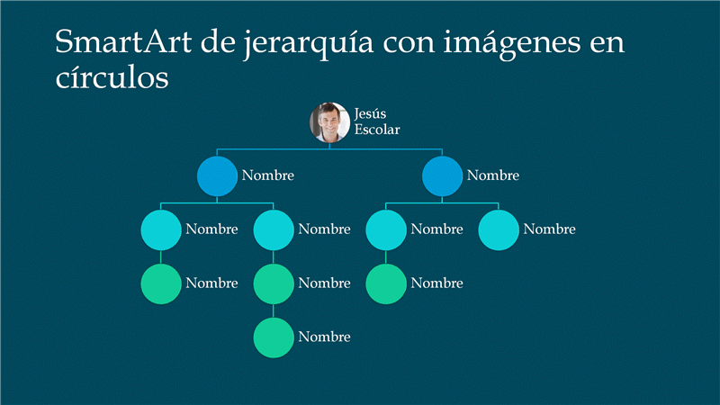 Diapositiva Organigrama jerárquico con imágenes en círculos (blanco sobre azul), pantalla panorámica Diapositiva Organigrama jerárquico con imágenes en círculos (blanco sobre azul), pantalla panorámica