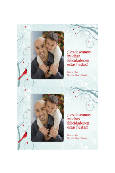 Tarjeta fotográfica de fiestas (diseño de copo de nieve) Tarjeta fotográfica de fiestas (diseño de copo de nieve)